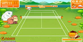 Crazy Tennis