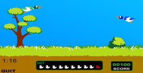 Disparando Patos